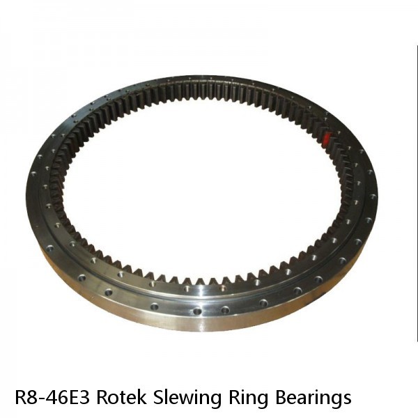R8-46E3 Rotek Slewing Ring Bearings