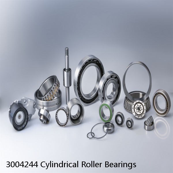 3004244 Cylindrical Roller Bearings