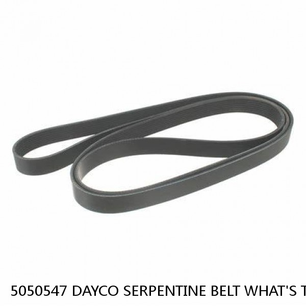 5050547 DAYCO SERPENTINE BELT WHAT'S THE BEST PRICE ON BELTS