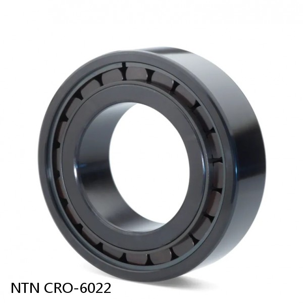 CRO-6022 NTN Cylindrical Roller Bearing