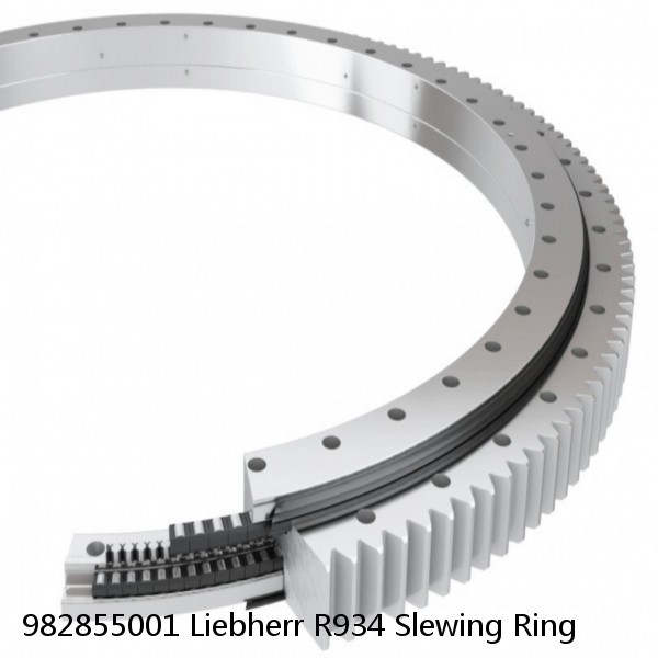 982855001 Liebherr R934 Slewing Ring