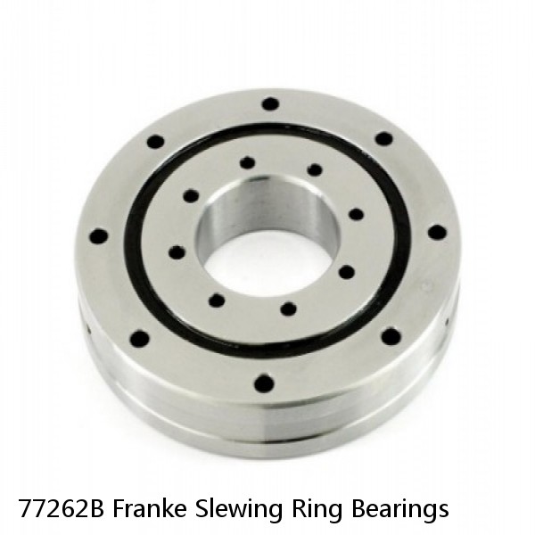 77262B Franke Slewing Ring Bearings