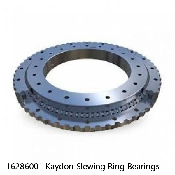 16286001 Kaydon Slewing Ring Bearings