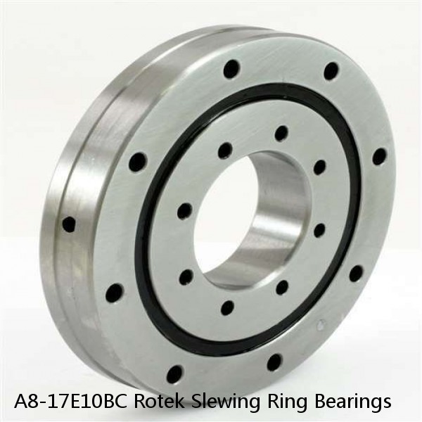 A8-17E10BC Rotek Slewing Ring Bearings