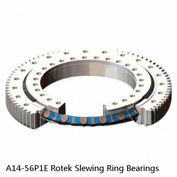 A14-56P1E Rotek Slewing Ring Bearings