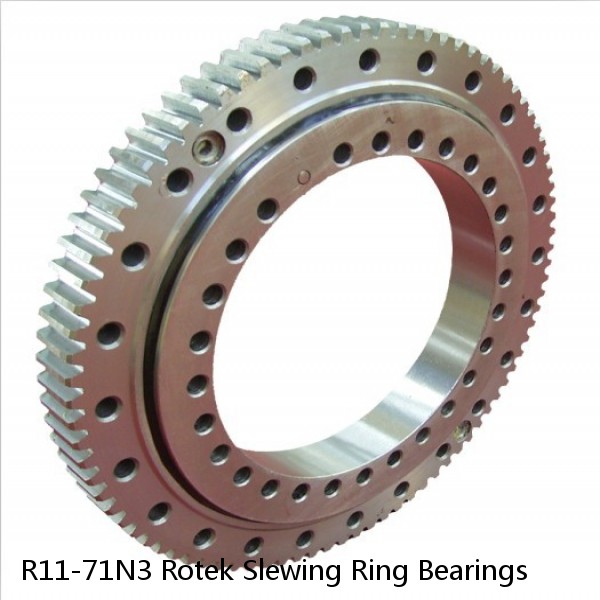 R11-71N3 Rotek Slewing Ring Bearings