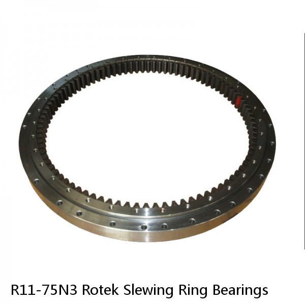 R11-75N3 Rotek Slewing Ring Bearings