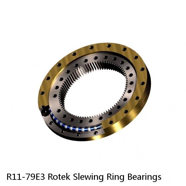 R11-79E3 Rotek Slewing Ring Bearings