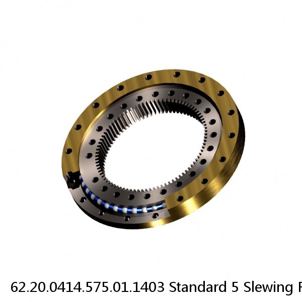 62.20.0414.575.01.1403 Standard 5 Slewing Ring Bearings