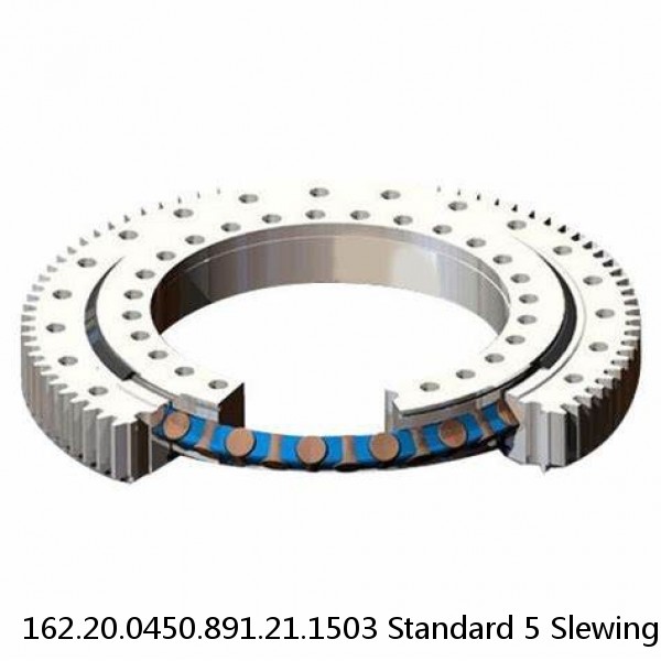 162.20.0450.891.21.1503 Standard 5 Slewing Ring Bearings