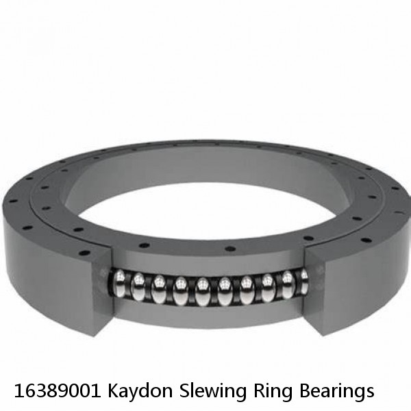 16389001 Kaydon Slewing Ring Bearings