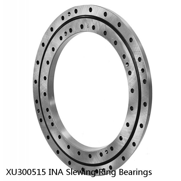 XU300515 INA Slewing Ring Bearings