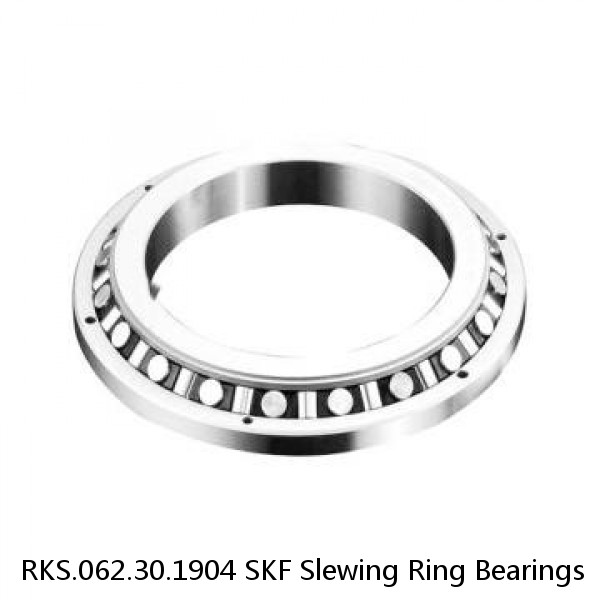 RKS.062.30.1904 SKF Slewing Ring Bearings