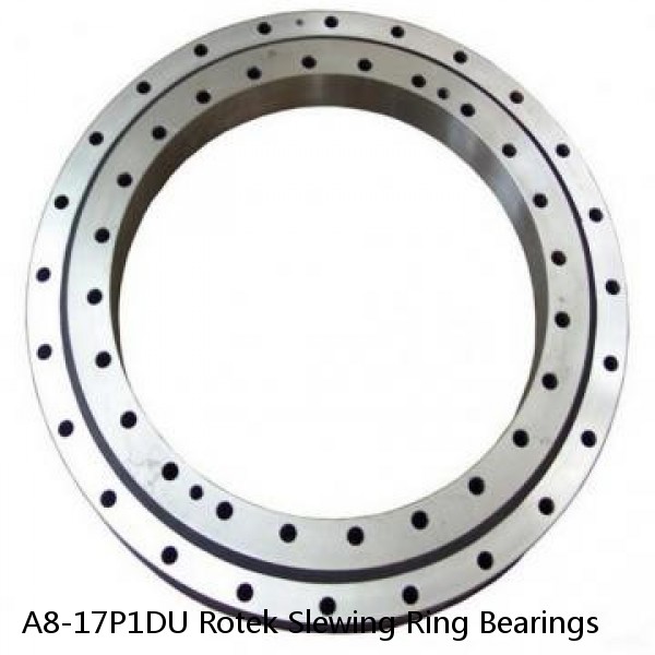 A8-17P1DU Rotek Slewing Ring Bearings