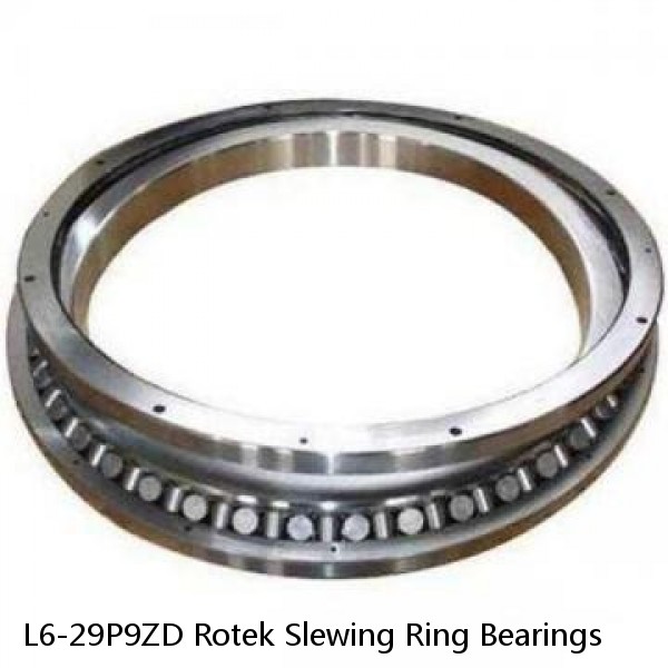 L6-29P9ZD Rotek Slewing Ring Bearings