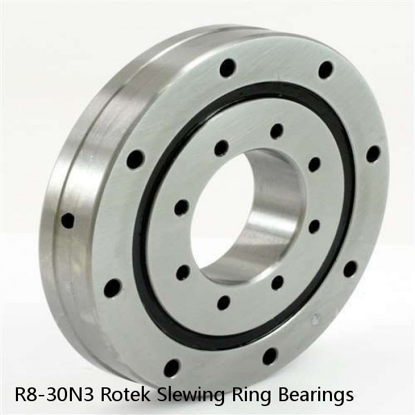 R8-30N3 Rotek Slewing Ring Bearings