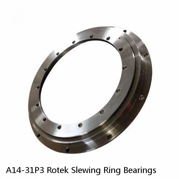 A14-31P3 Rotek Slewing Ring Bearings