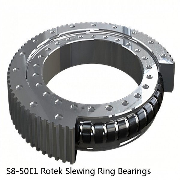 S8-50E1 Rotek Slewing Ring Bearings