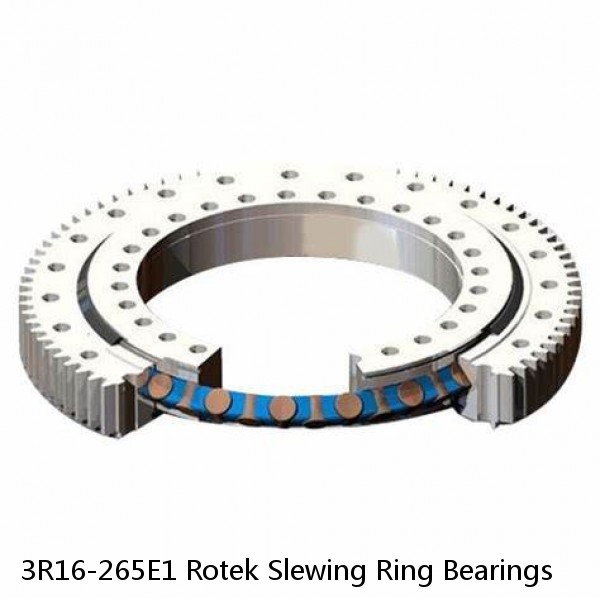 3R16-265E1 Rotek Slewing Ring Bearings