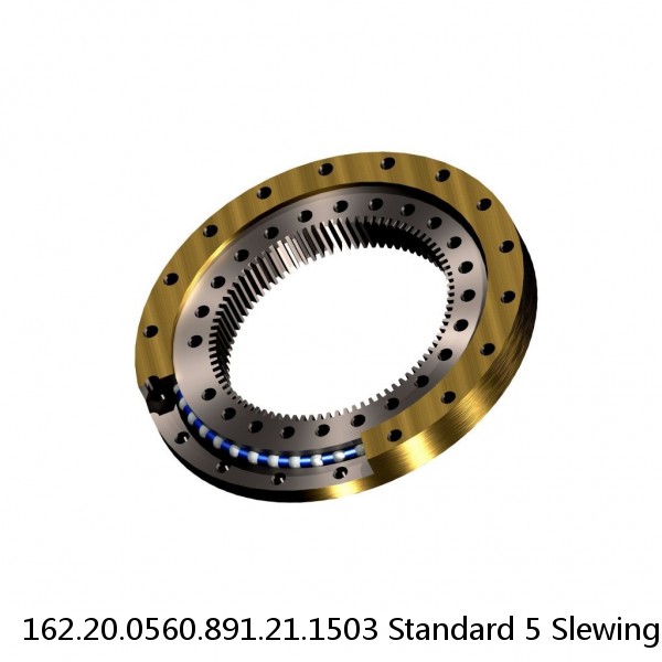 162.20.0560.891.21.1503 Standard 5 Slewing Ring Bearings