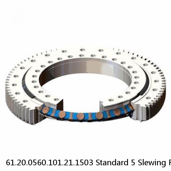 61.20.0560.101.21.1503 Standard 5 Slewing Ring Bearings