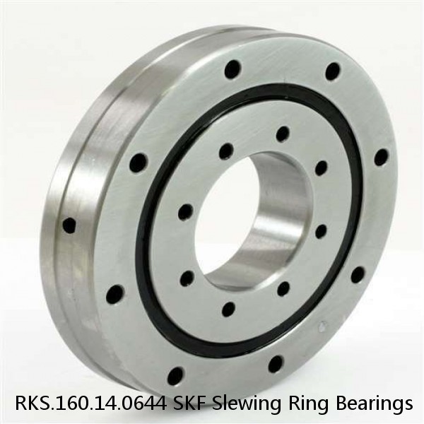 RKS.160.14.0644 SKF Slewing Ring Bearings