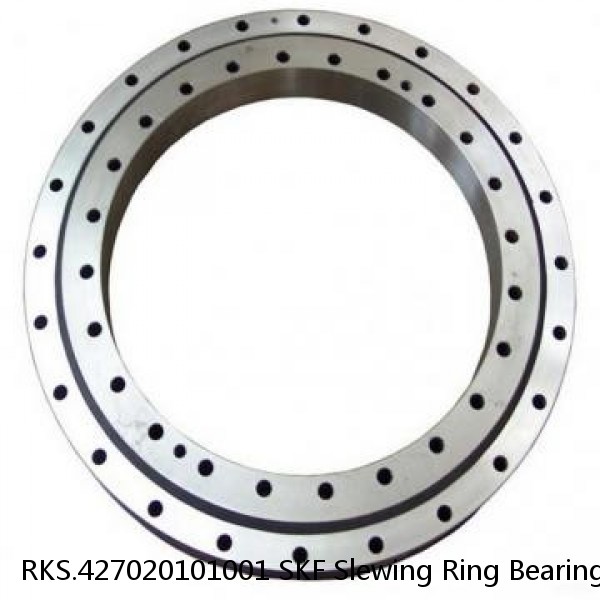 RKS.427020101001 SKF Slewing Ring Bearings