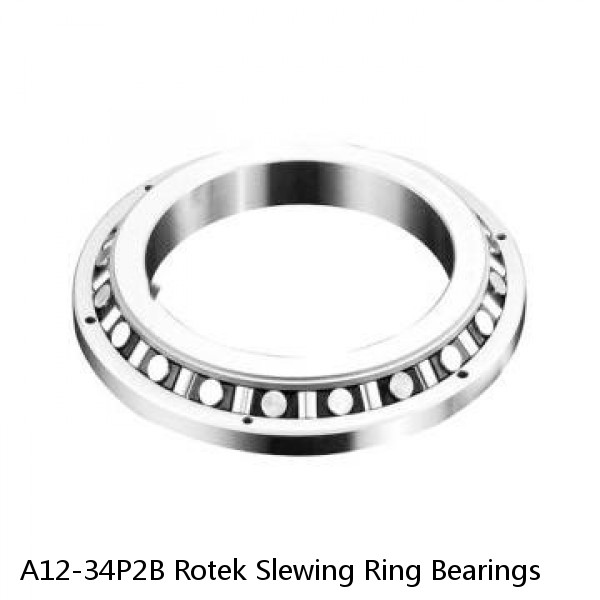 A12-34P2B Rotek Slewing Ring Bearings