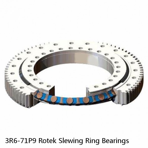 3R6-71P9 Rotek Slewing Ring Bearings