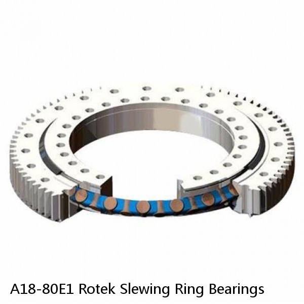 A18-80E1 Rotek Slewing Ring Bearings