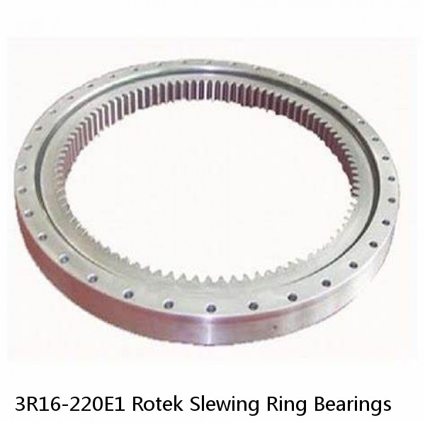 3R16-220E1 Rotek Slewing Ring Bearings