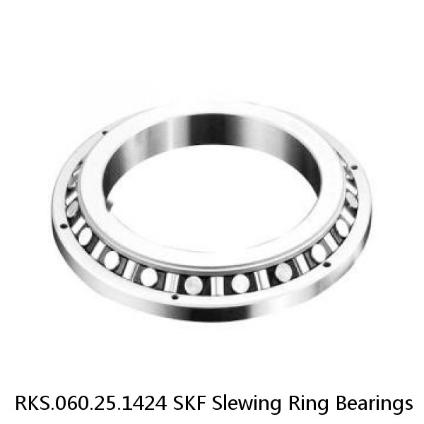 RKS.060.25.1424 SKF Slewing Ring Bearings