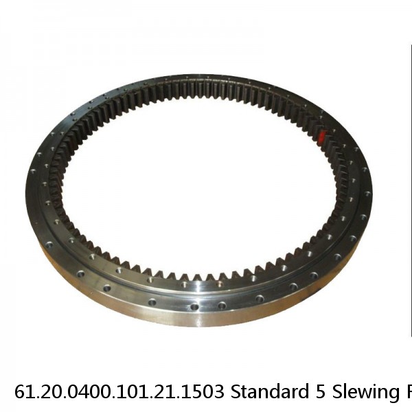 61.20.0400.101.21.1503 Standard 5 Slewing Ring Bearings