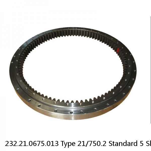 232.21.0675.013 Type 21/750.2 Standard 5 Slewing Ring Bearings