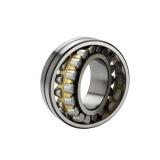 FAG 507336 Cylindrical Roller Bearings