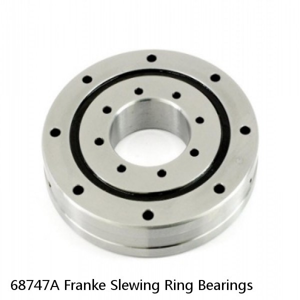 68747A Franke Slewing Ring Bearings