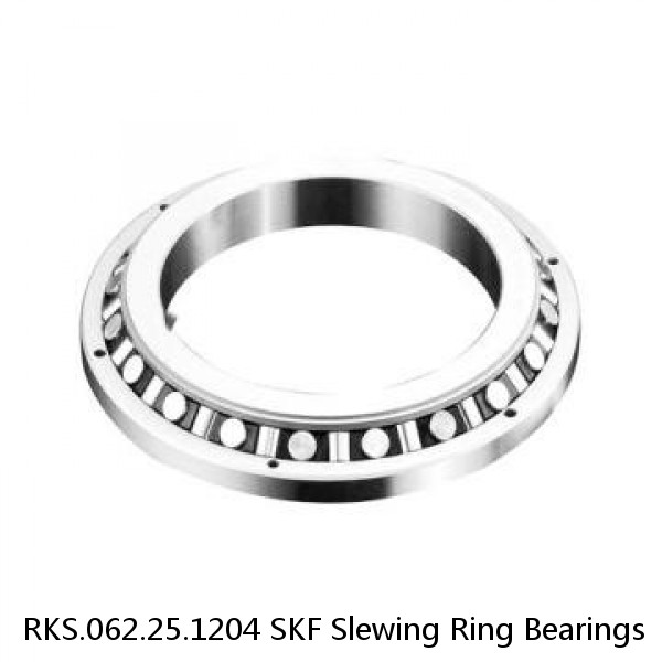 RKS.062.25.1204 SKF Slewing Ring Bearings