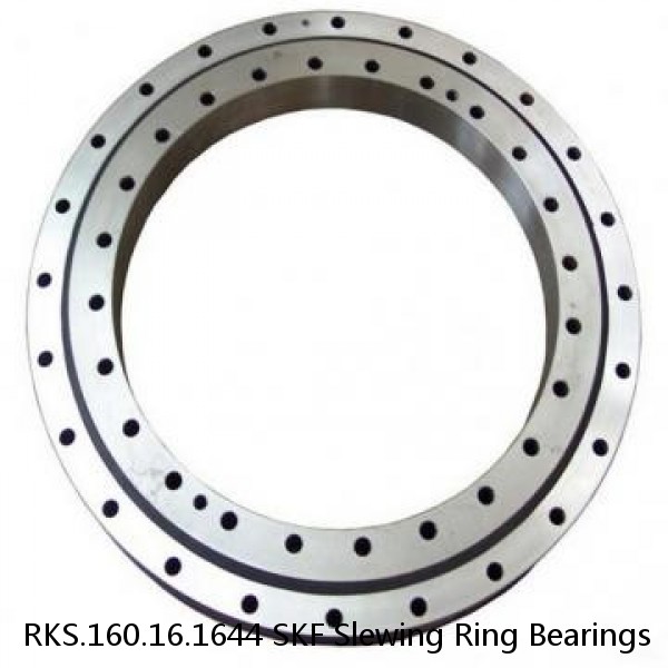 RKS.160.16.1644 SKF Slewing Ring Bearings