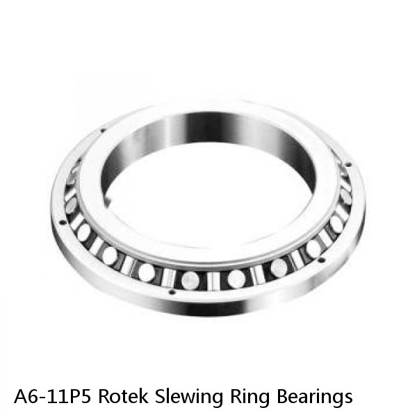 A6-11P5 Rotek Slewing Ring Bearings