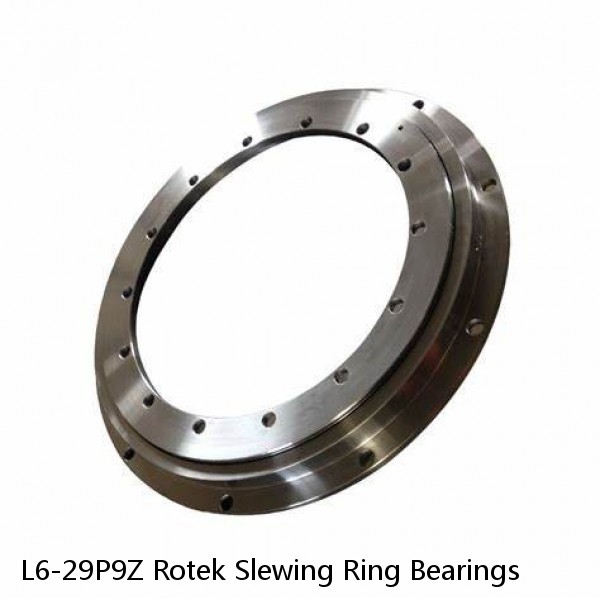 L6-29P9Z Rotek Slewing Ring Bearings