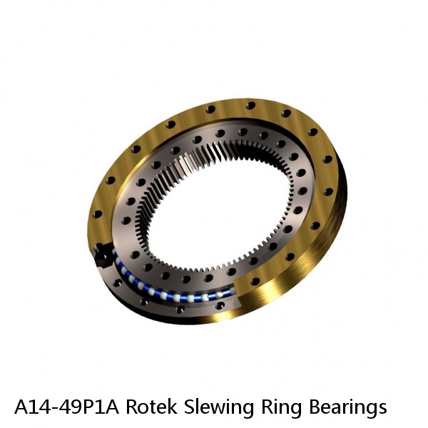 A14-49P1A Rotek Slewing Ring Bearings