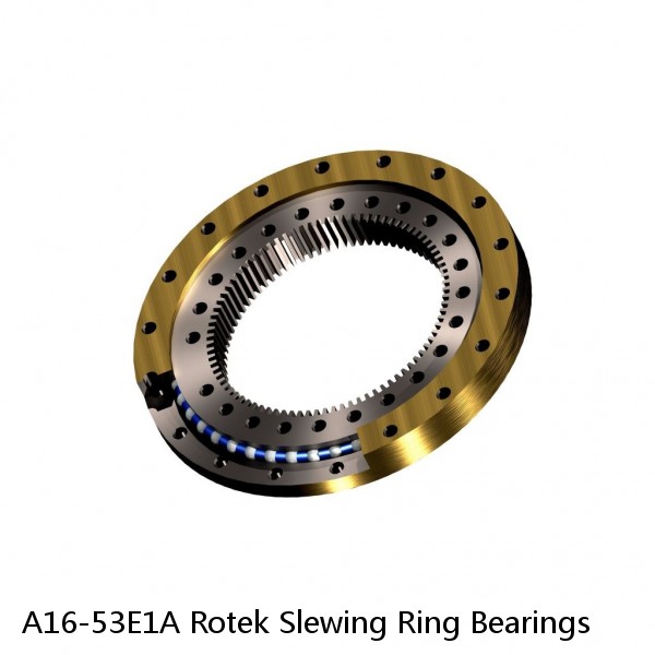 A16-53E1A Rotek Slewing Ring Bearings