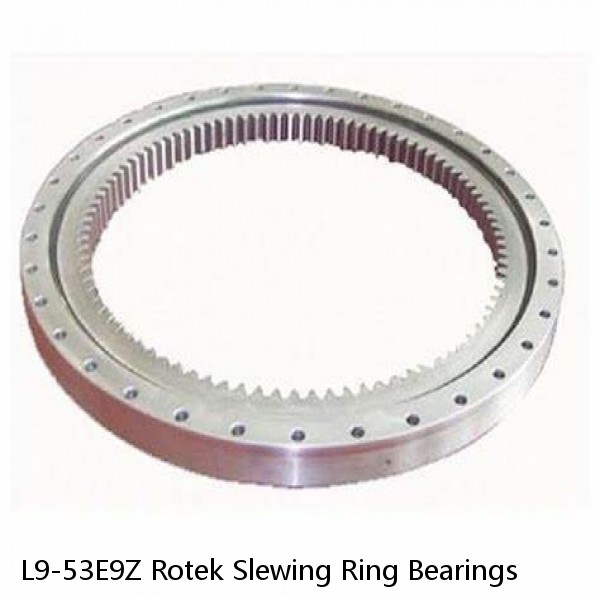 L9-53E9Z Rotek Slewing Ring Bearings