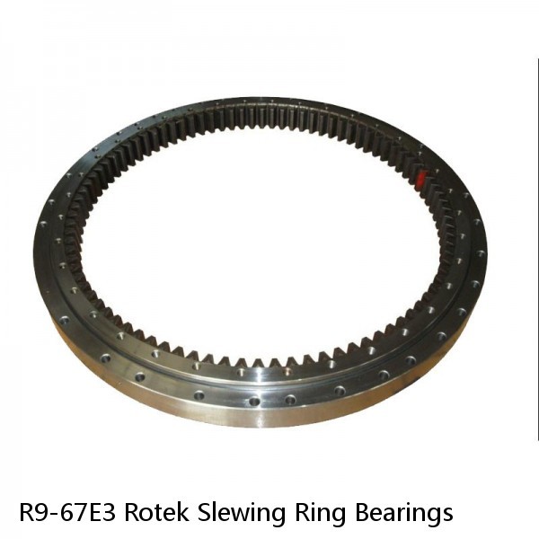 R9-67E3 Rotek Slewing Ring Bearings