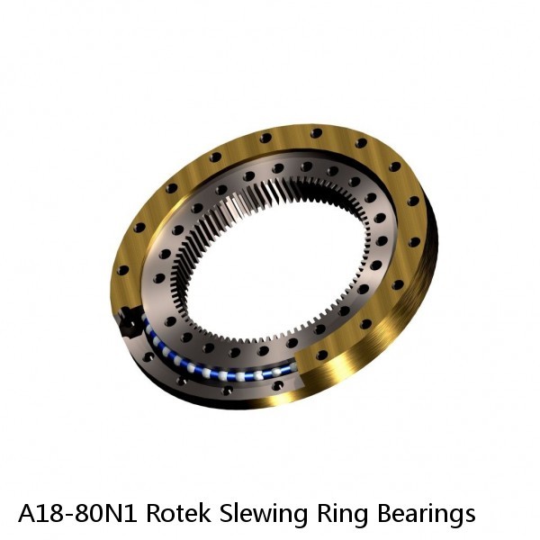 A18-80N1 Rotek Slewing Ring Bearings