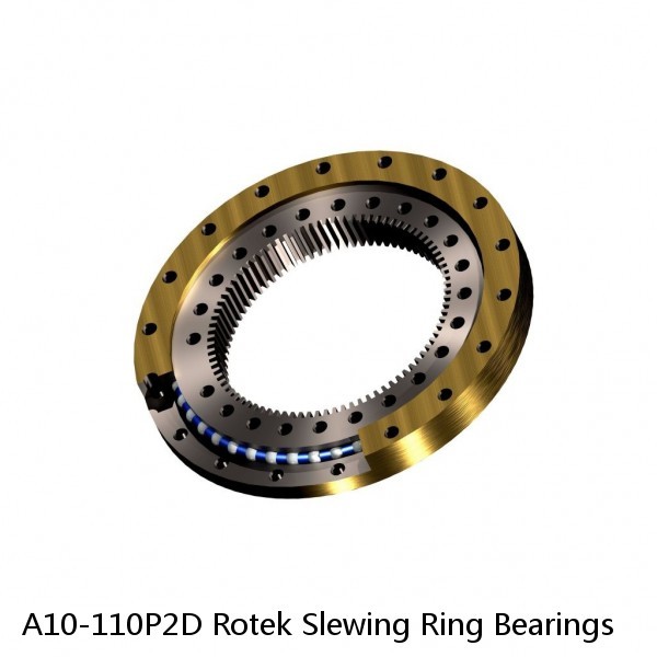 A10-110P2D Rotek Slewing Ring Bearings