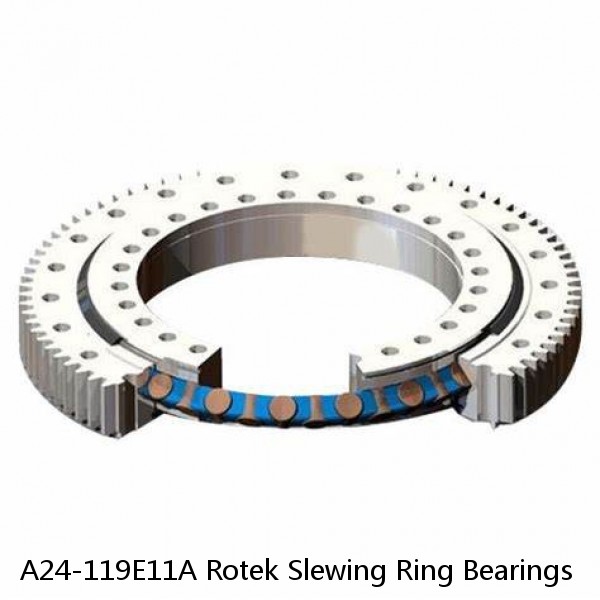 A24-119E11A Rotek Slewing Ring Bearings