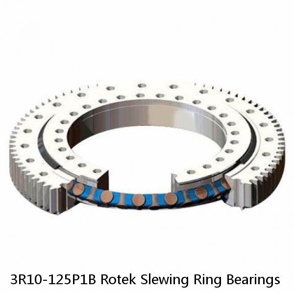 3R10-125P1B Rotek Slewing Ring Bearings