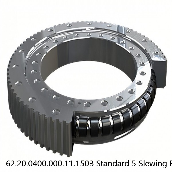 62.20.0400.000.11.1503 Standard 5 Slewing Ring Bearings