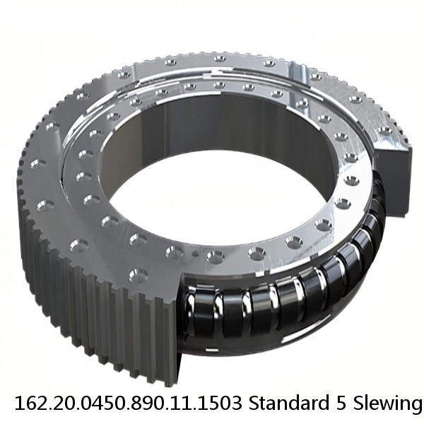 162.20.0450.890.11.1503 Standard 5 Slewing Ring Bearings